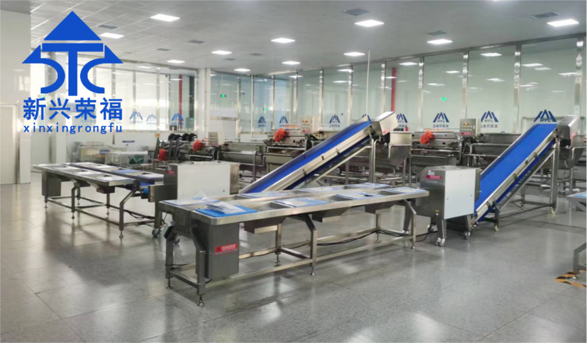 日供蔬菜20吨,新兴荣福承建净菜加工项目完成验收